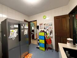 South Buona Vista Road (D5), Semi-Detached #503146731